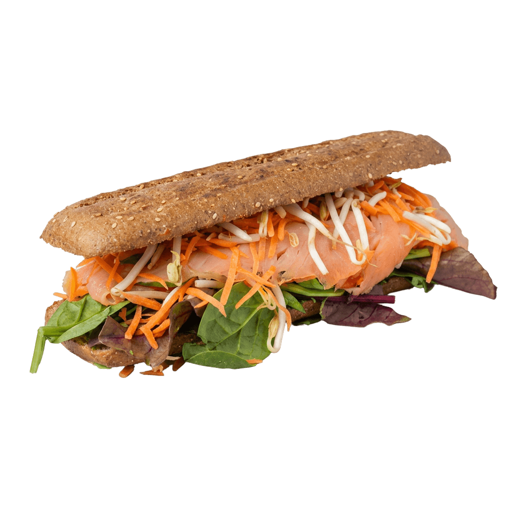 The Salmon Sandwich