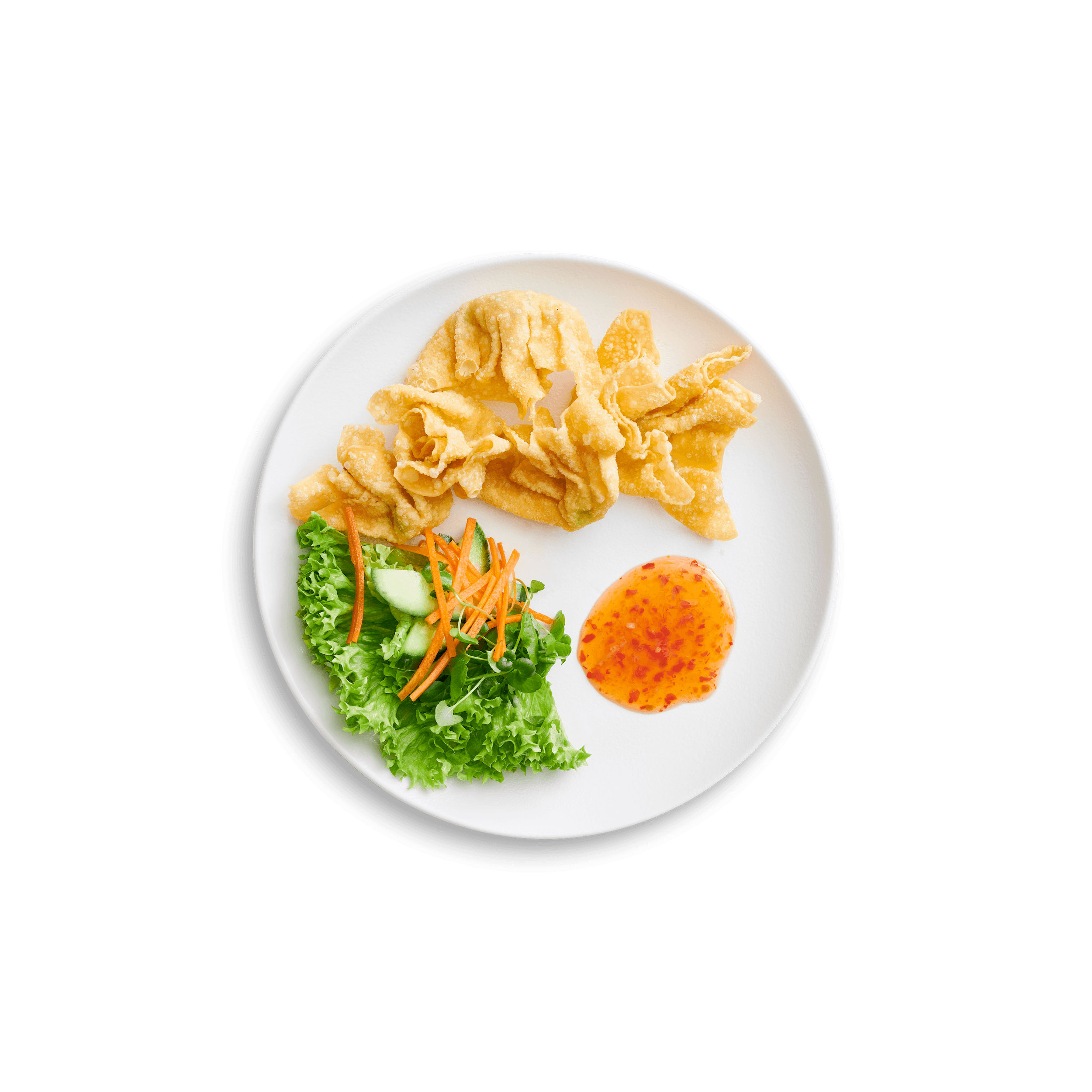 Dybstegte Wontons