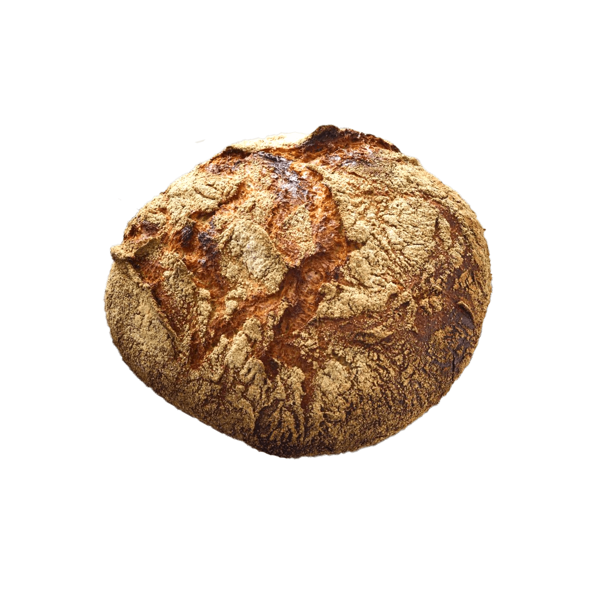 Øko Nørrebrobrød