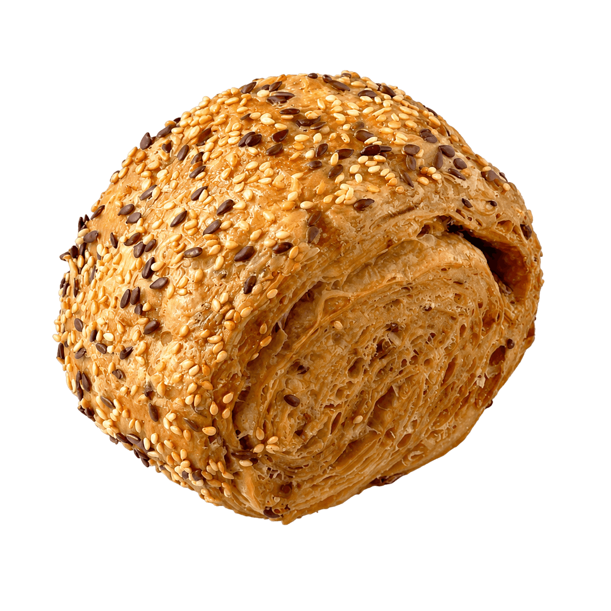 Grovbirkes