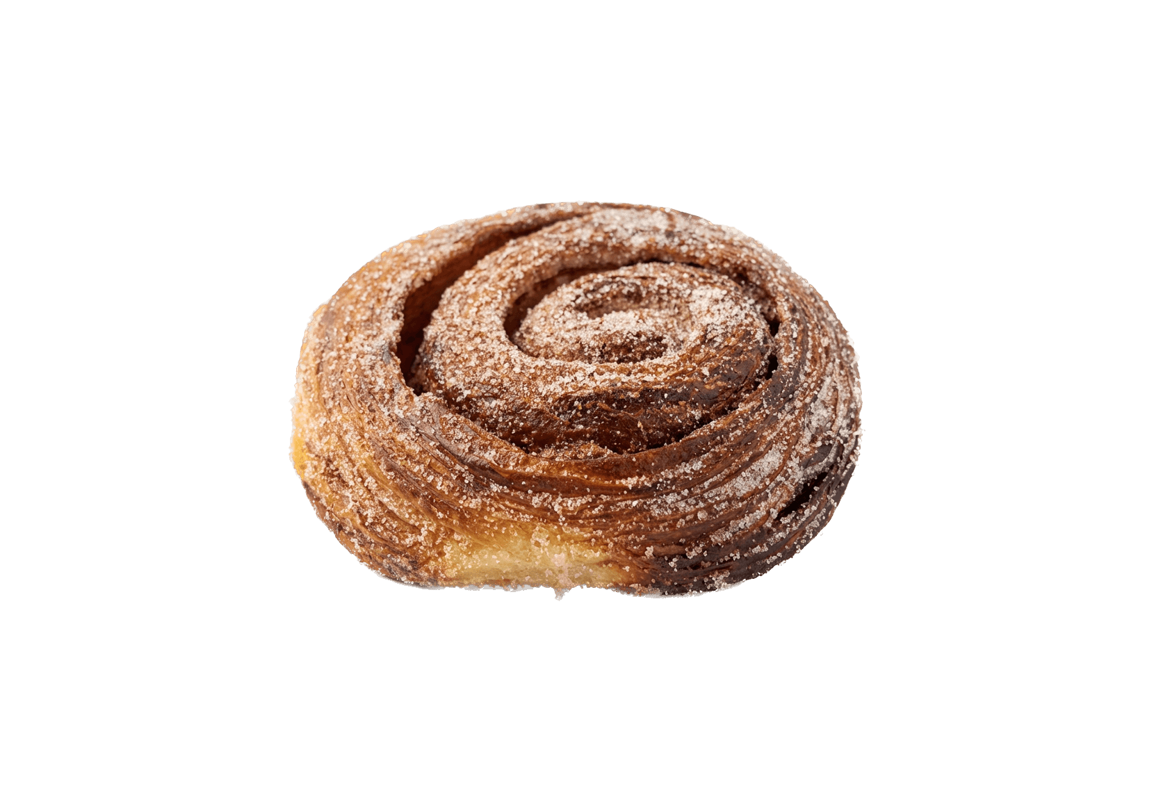 Cinnamon Bun