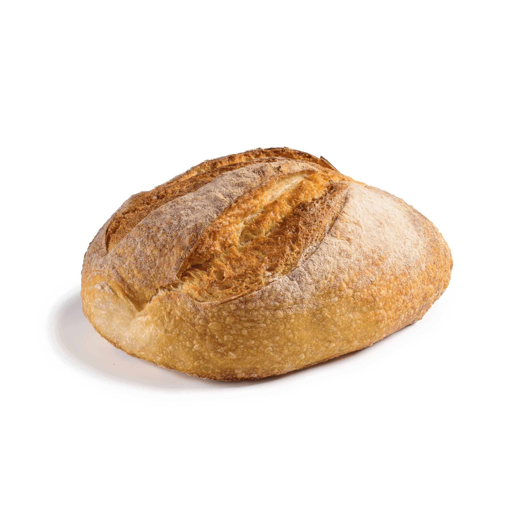 Ciabatta brød