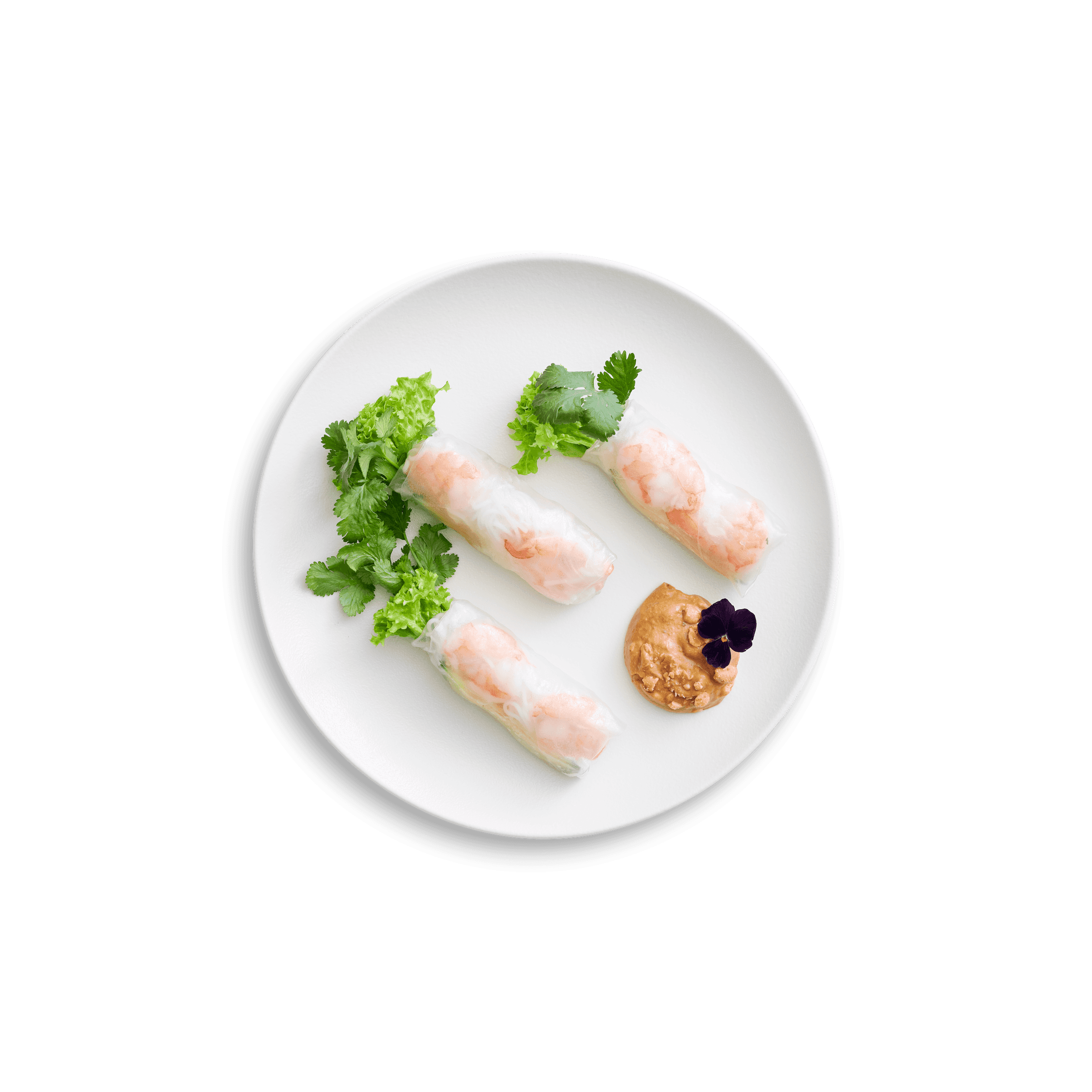 Vi Việt Sommerruller